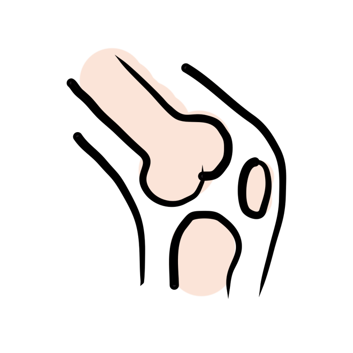 gelenk.png